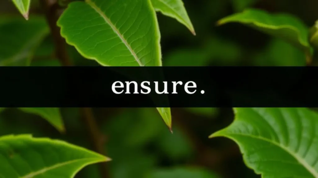 ensure synonym