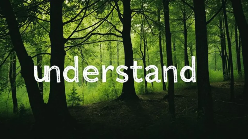 understand synonym
